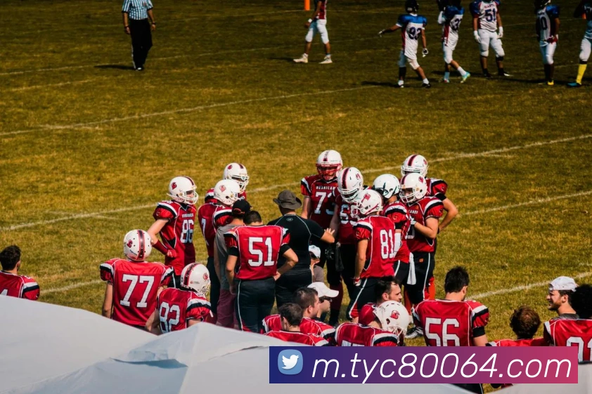 登录器